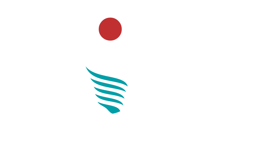 Notices Visy – Victory – Easy Implant